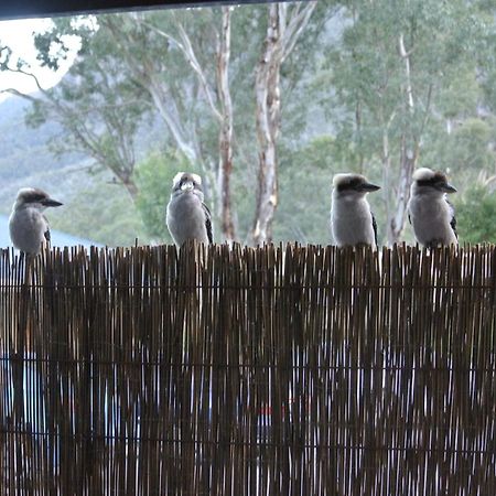 Kookaburra Motor Lodge Halls Gap Exterior photo