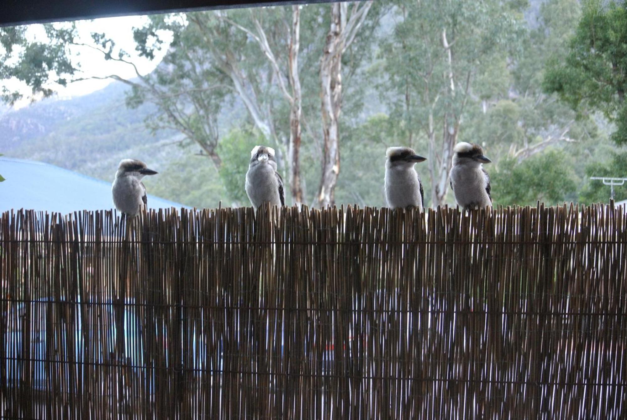 Kookaburra Motor Lodge Halls Gap Exterior photo